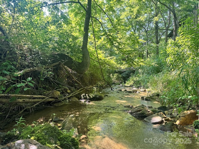 140 Wallins Way, Mars Hill, NC 28754 - view of wooded area