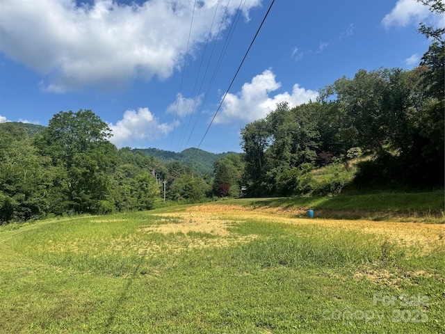 140 Wallins Way, Mars Hill, NC 28754 - mountain view with a forest