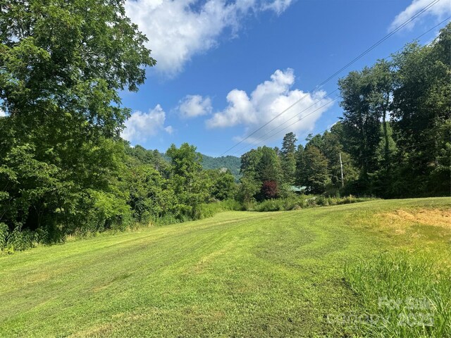 140 Wallins Way, Mars Hill, NC 28754 - view of green lawn featuring a forest view