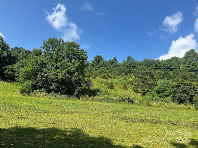 140 Wallins Way, Mars Hill, NC 28754 - view of tree filled area