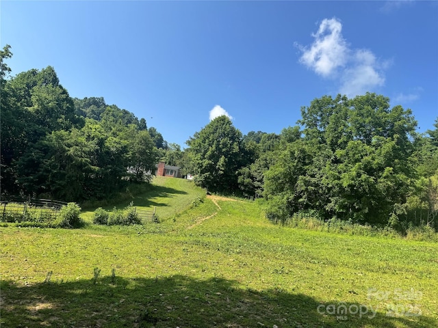 140 Wallins Way, Mars Hill, NC 28754 - view of yard with a view of trees