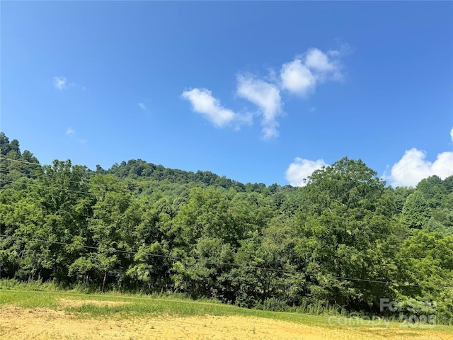 140 Wallins Way, Mars Hill, NC 28754 - view of woods
