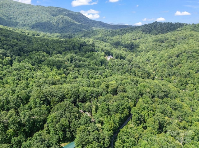 150 Marcellina Dr, Fairview, NC 28730 - photo 2