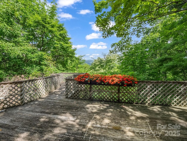 150 Marcellina Dr, Fairview, NC 28730 - photo 8