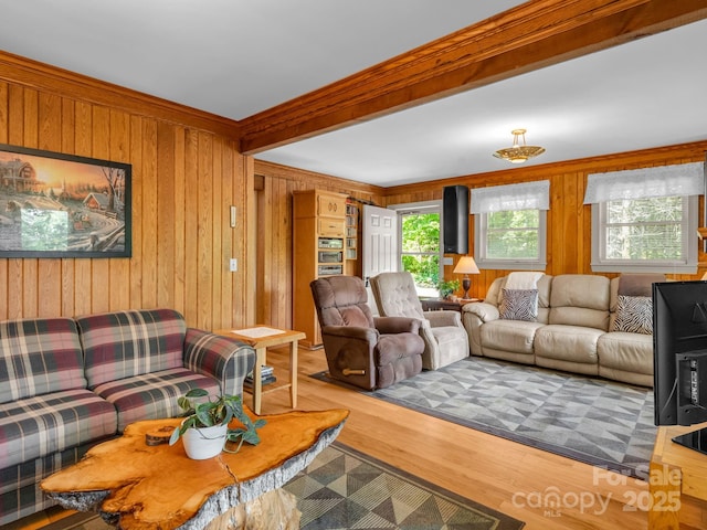 150 Marcellina Dr, Fairview, NC 28730 - photo 11
