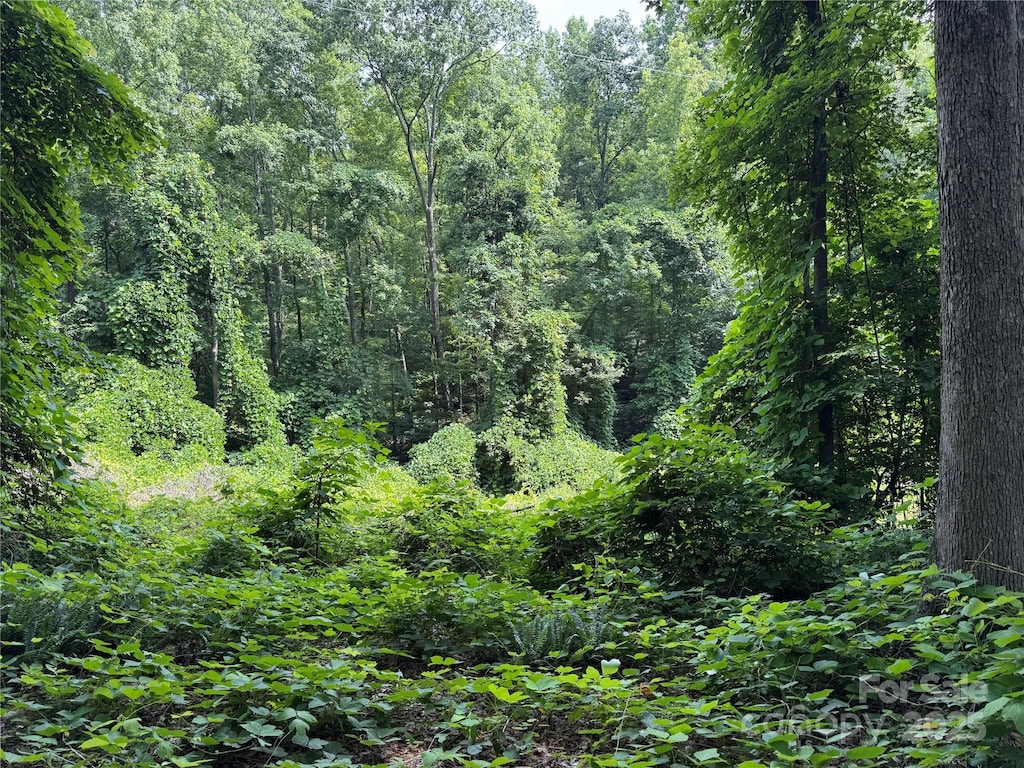 0000 Ranger Rd, Clover, SC 29710 - photo 4