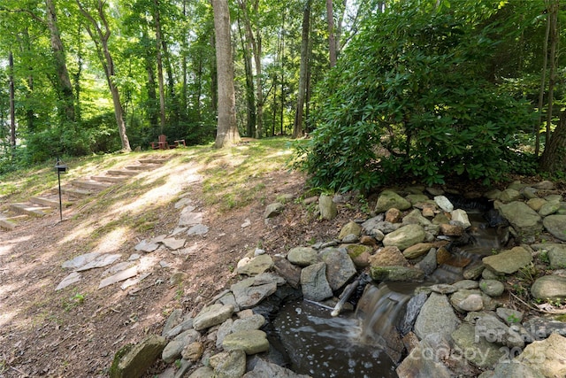 74 English Dr, Candler, NC 28715 - photo 32