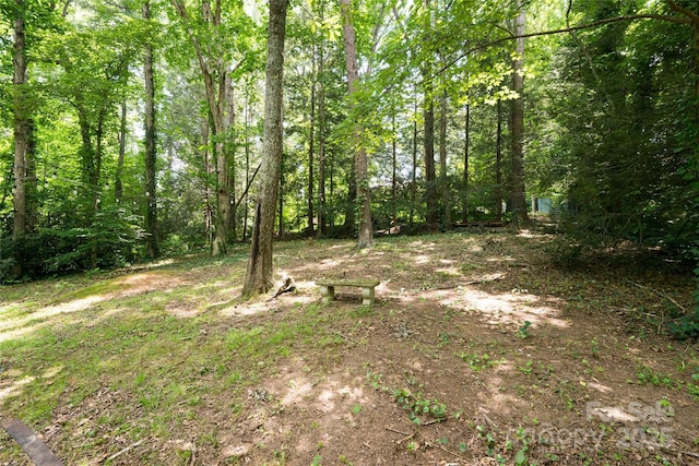 74 English Dr, Candler, NC 28715 - photo 34