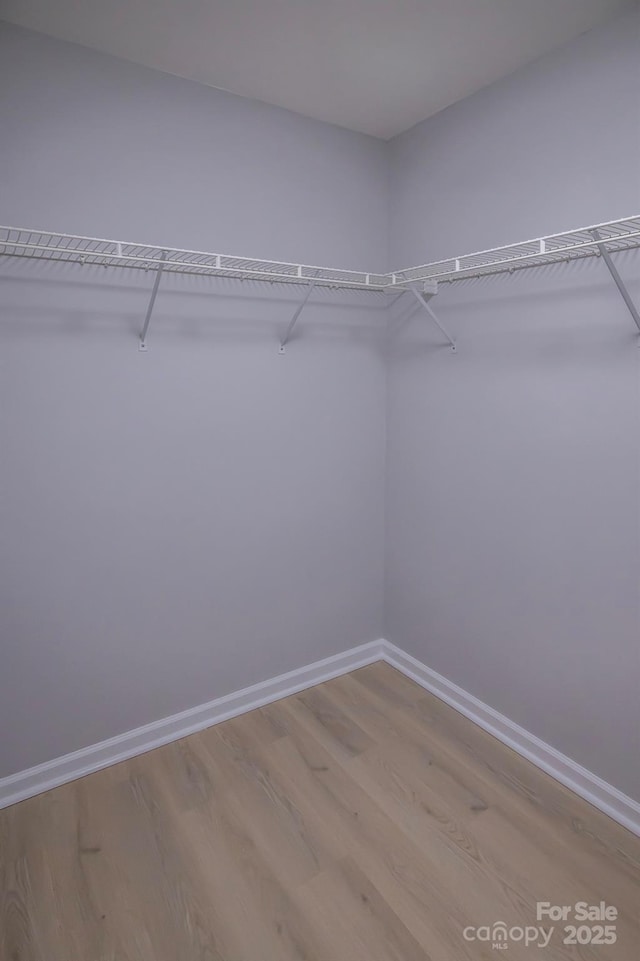 420 Alpha St, Charlotte, NC 28205 - photo 19
