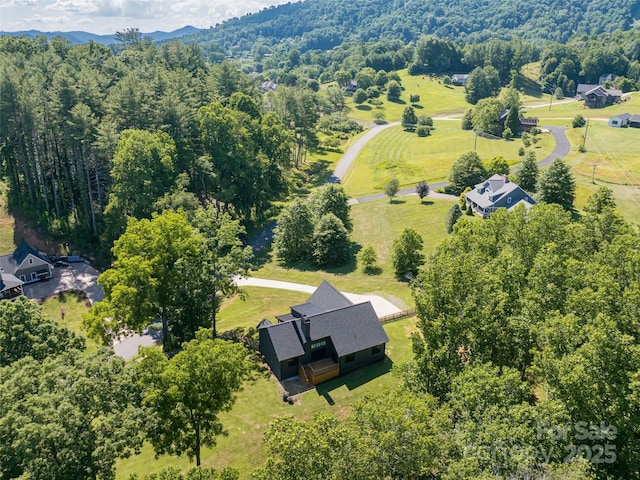 244 Barebridge Dr, Burnsville, NC 28714 - photo 39