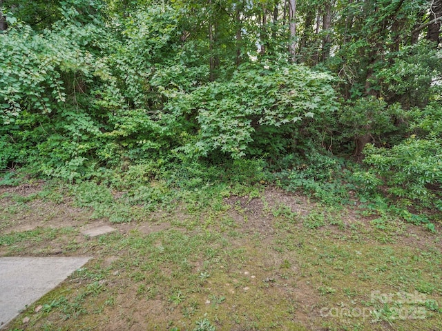 1020 Stinson Glen Ln, Charlotte, NC 28214 - photo 39