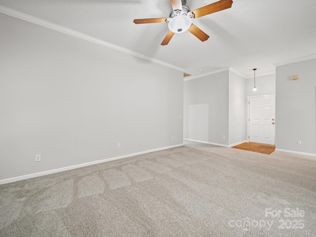 1020 Stinson Glen Ln, Charlotte, NC 28214 - photo 7