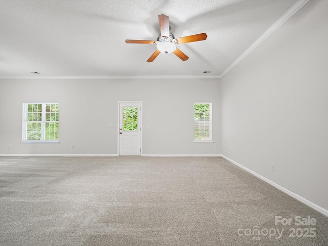 1020 Stinson Glen Ln, Charlotte, NC 28214 - photo 8