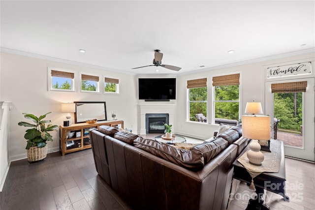 1240 Pebble Grove Dr, Clover, SC 29710 - living room with a glass covered fireplace, ceiling fan, ornamental molding, wood-type flooring, and recessed lighting