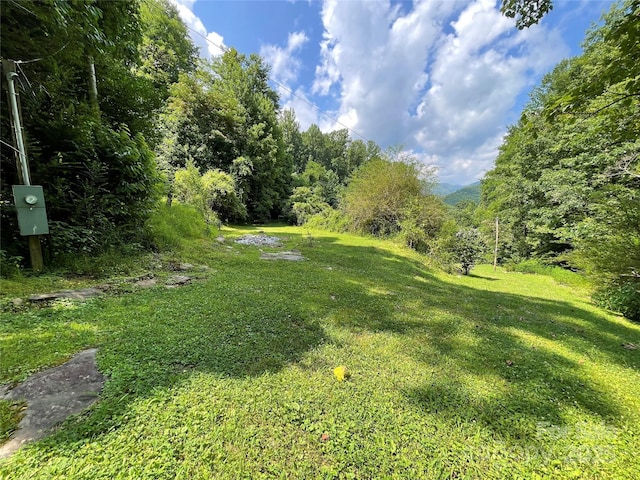 338 New Rd, Robbinsville, NC 28771 - photo 6