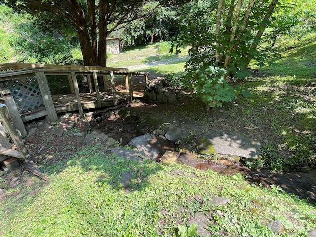 338 New Rd, Robbinsville, NC 28771 - photo 8