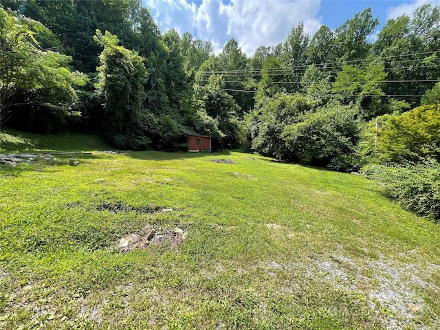 338 New Rd, Robbinsville, NC 28771 - photo 22