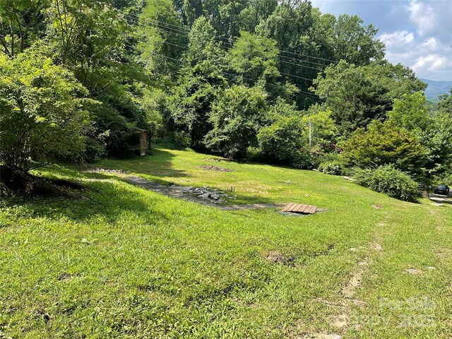 338 New Rd, Robbinsville, NC 28771 - photo 23