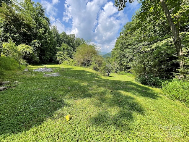 338 New Rd, Robbinsville, NC 28771 - photo 24