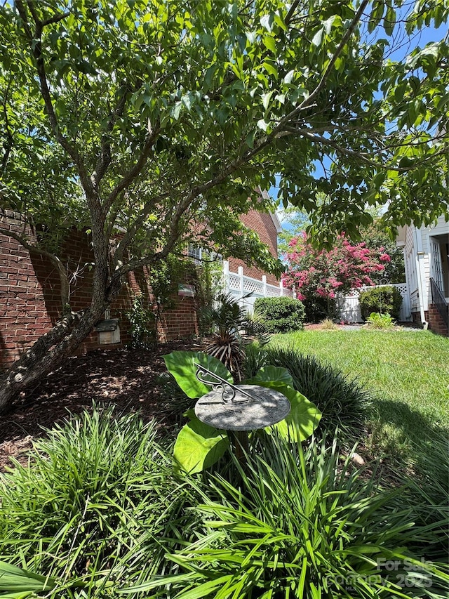 75 Mccurdy St NW, Concord, NC 28027 - view of yard