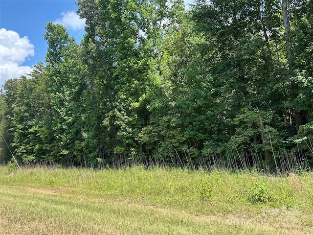 0000 Cabal Rd, Sharon, SC 29742 - photo 1