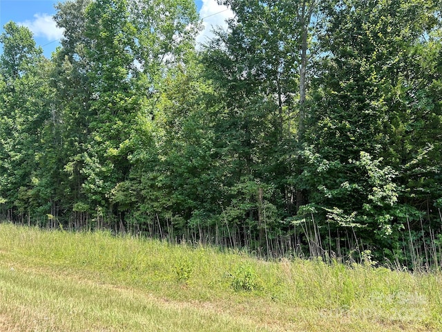 0000 Cabal Rd, Sharon, SC 29742 - photo 2