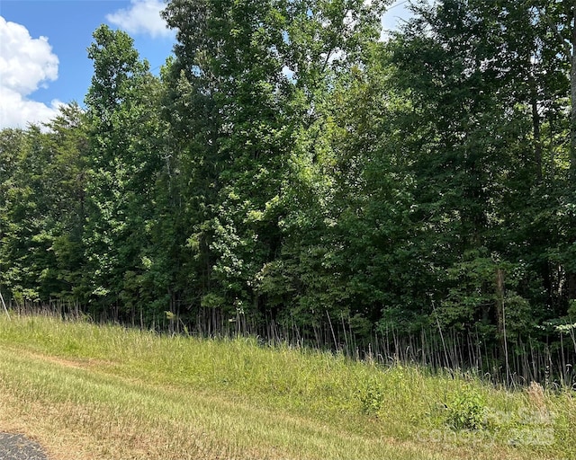 0000 Cabal Rd, Sharon, SC 29742 - photo 3