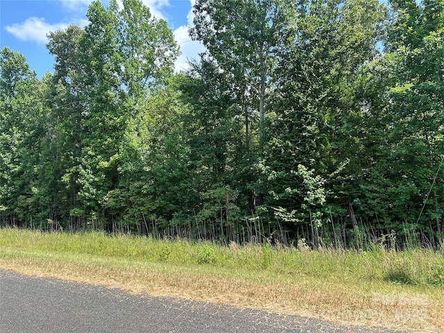 0000 Cabal Rd, Sharon, SC 29742 - photo 4