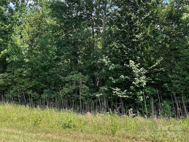 0000 Cabal Rd, Sharon, SC 29742 - photo 5