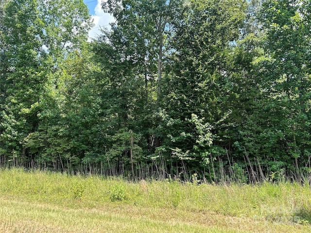 0000 Cabal Rd, Sharon, SC 29742 - photo 6