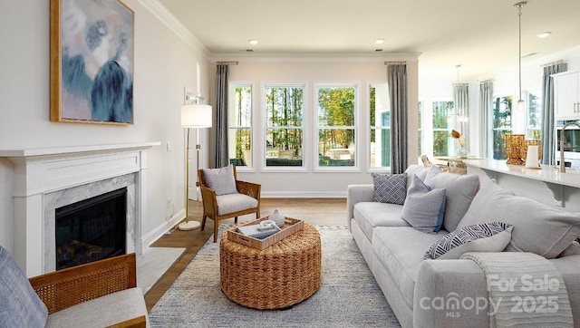 4129 Duplin Dr, Charlotte, NC 28214 - living area featuring a premium fireplace, wood finished floors, and ornamental molding