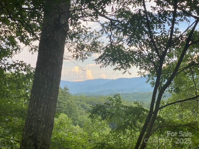 268 Poor Boy Ln, Whittier, NC 28789 - mountain view featuring a forest