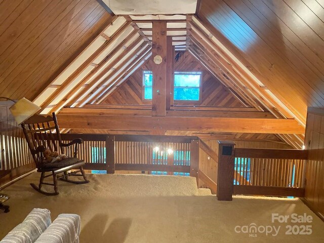 268 Poor Boy Ln, Whittier, NC 28789 - unfurnished room featuring wooden walls, lofted ceiling, and carpet floors