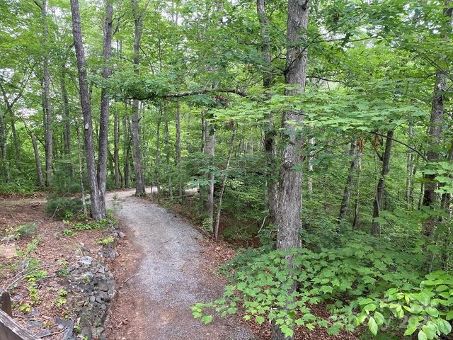 268 Poor Boy Ln, Whittier, NC 28789 - view of road with a wooded view