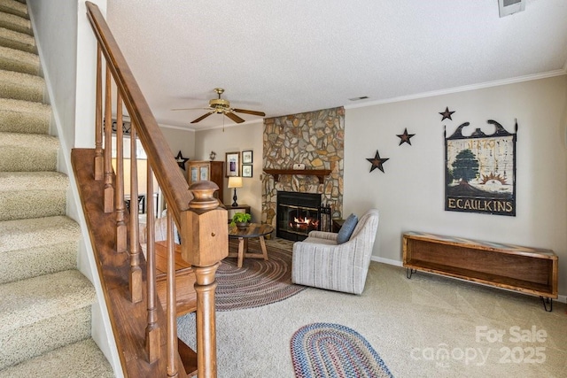 2 Westminster Dr, Asheville, NC 28804 - photo 8