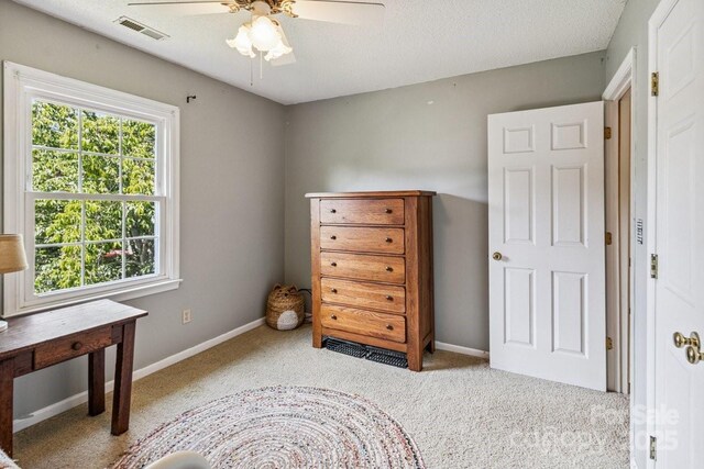 2 Westminster Dr, Asheville, NC 28804 - photo 24