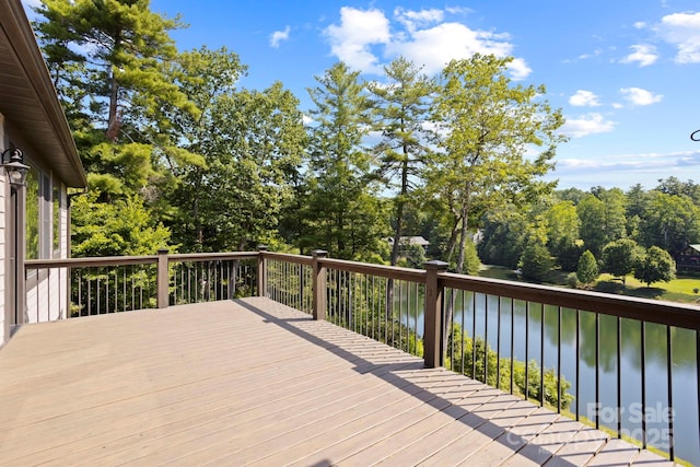 99 Macedonia Dr S, Saluda, NC 28773 - photo 23