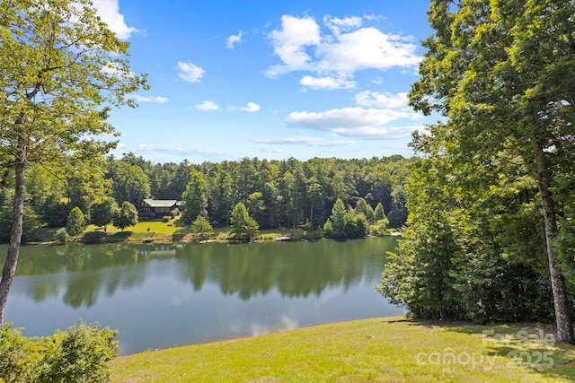 99 Macedonia Dr S, Saluda, NC 28773 - photo 25