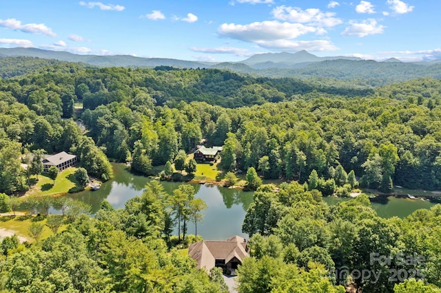 99 Macedonia Dr S, Saluda, NC 28773 - photo 42