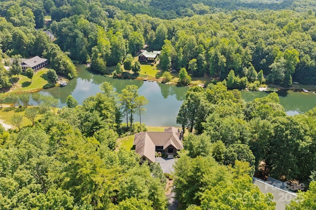 99 Macedonia Dr S, Saluda, NC 28773 - photo 43