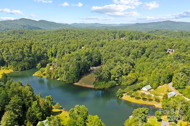 99 Macedonia Dr S, Saluda, NC 28773 - photo 45