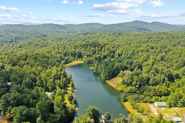 99 Macedonia Dr S, Saluda, NC 28773 - photo 46