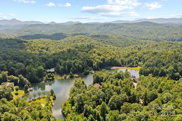 99 Macedonia Dr S, Saluda, NC 28773 - photo 47