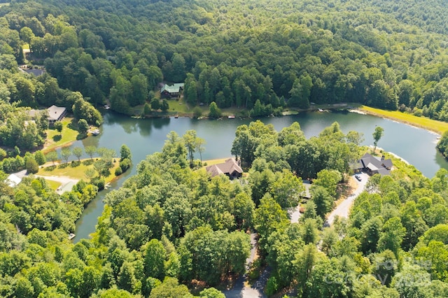 99 Macedonia Dr S, Saluda, NC 28773 - photo 48