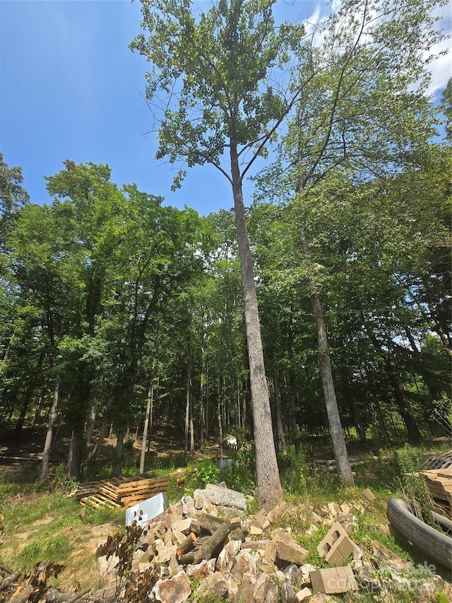 2150 Pressley Rd, Chester, SC 29706 - photo 14