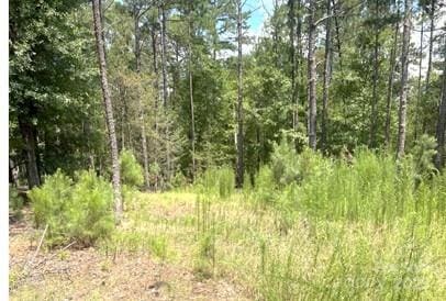 2127 Oldfield Rd, Rock Hill, SC 29730 - photo 1