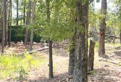 2127 Oldfield Rd, Rock Hill, SC 29730 - photo 3