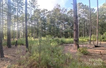 2127 Oldfield Rd, Rock Hill, SC 29730 - photo 4