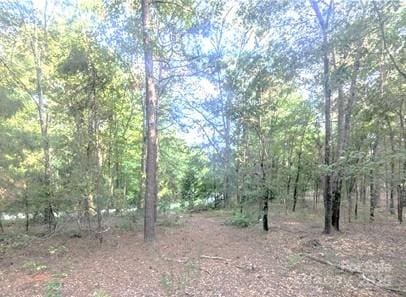 2127 Oldfield Rd, Rock Hill, SC 29730 - photo 5