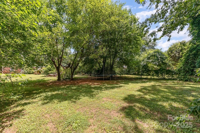 1318 Enderly Rd, Charlotte, NC 28208 - photo 3